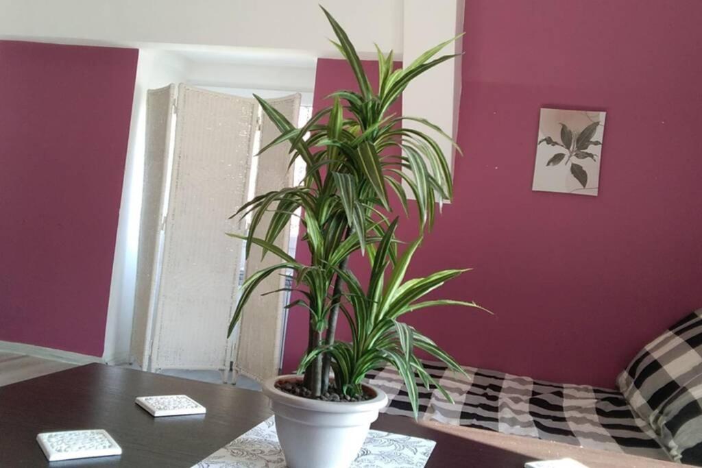 Nowoczesne Mieszkanie Blisko Natury I Sklepu Biedronka Apartmán *