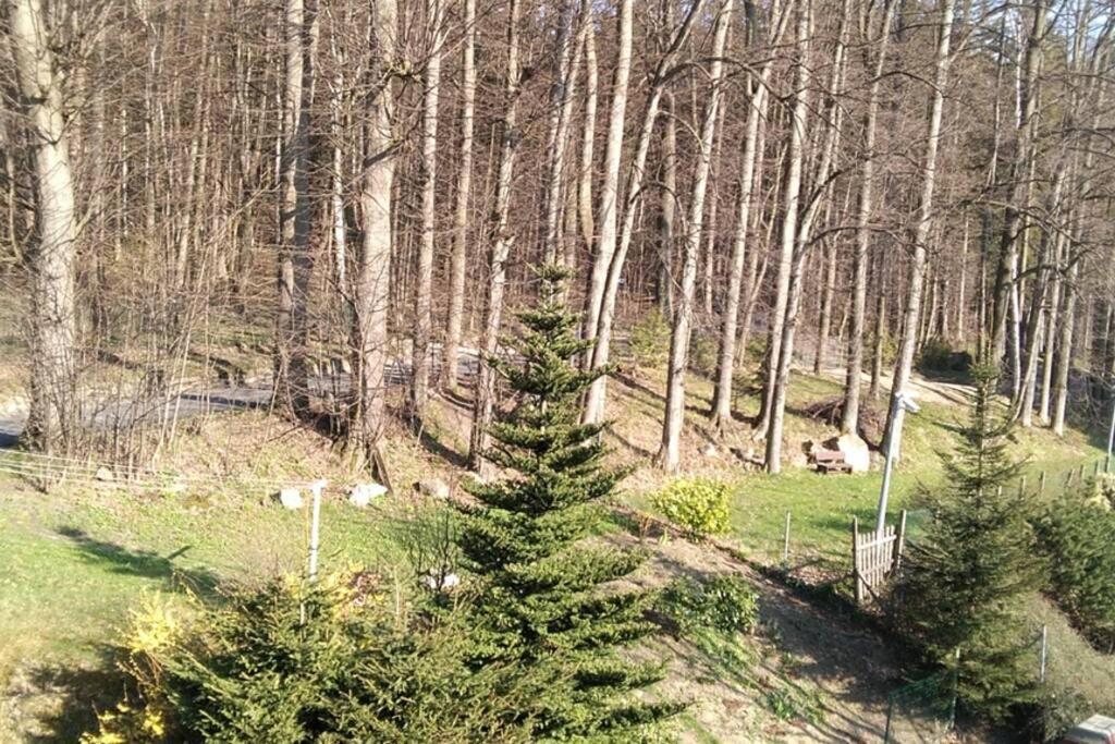 Nowoczesne Mieszkanie Blisko Natury I Sklepu Biedronka Apartment *