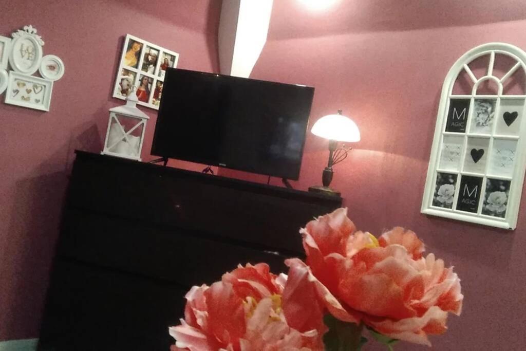 Apartmán Nowoczesne Mieszkanie Blisko Natury I Sklepu Biedronka *