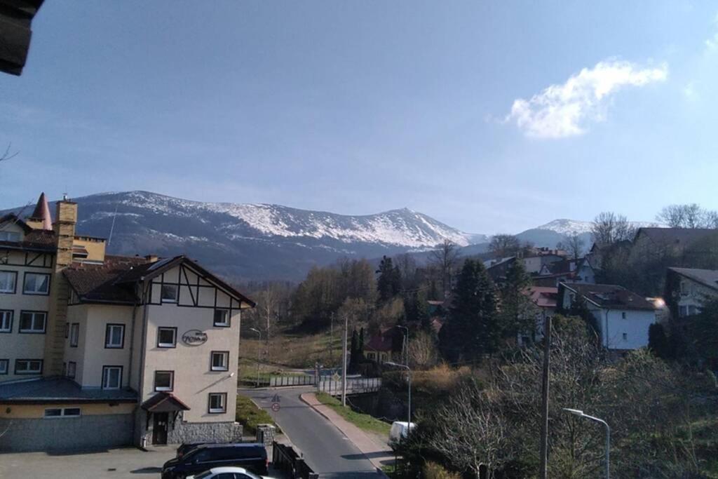 Nowoczesne Mieszkanie Blisko Natury I Sklepu Biedronka Apartment